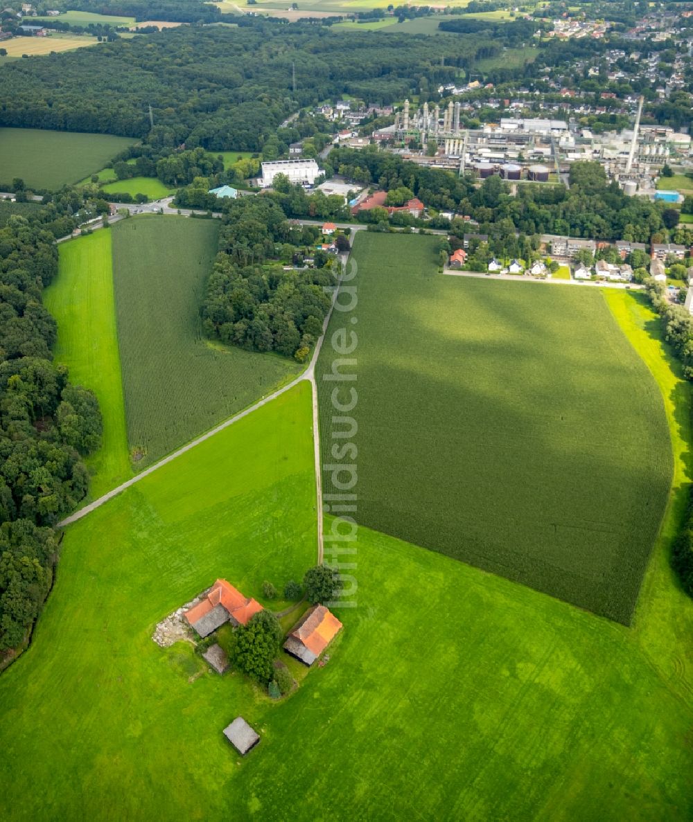 Gladbeck von oben - Gehöft eines Bauernhofes am Stadtrand auf der Schanzenheide in Gladbeck im Bundesland Nordrhein-Westfalen, Deutschland