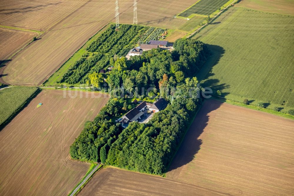 Bochum von oben - Gehöft eines Bauernhofes mit einer Weihnachtsbaum-Zucht In den Höfen in Bochum im Bundesland Nordrhein-Westfalen, Deutschland