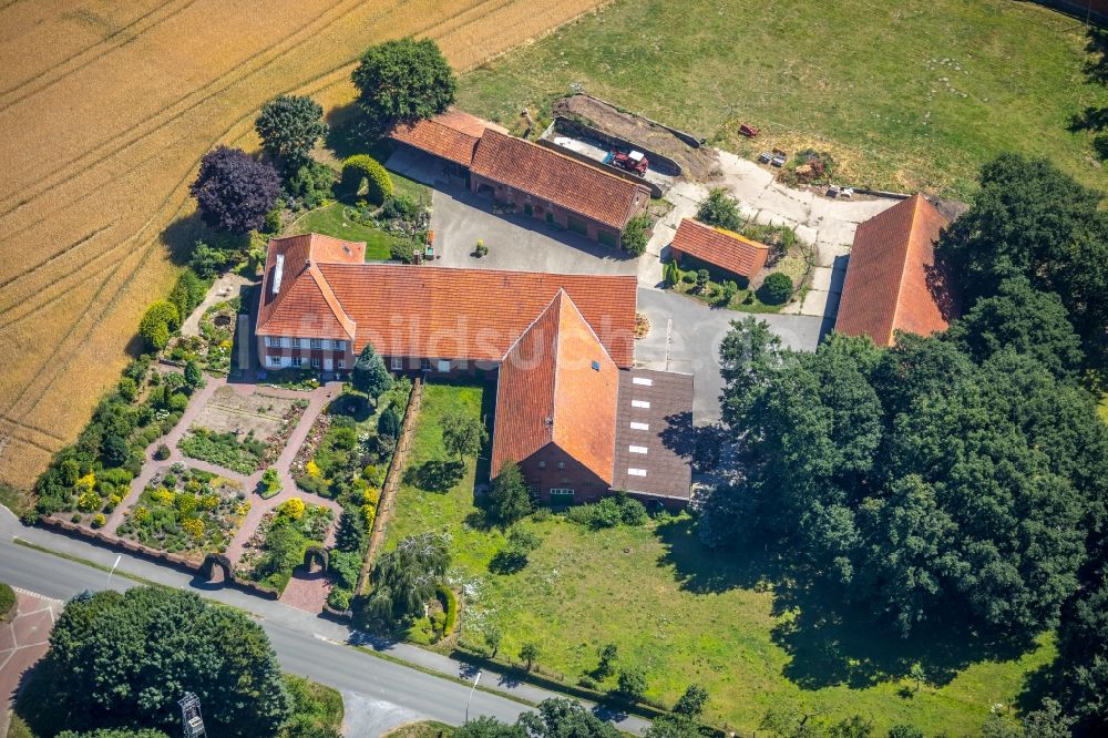 Luftbild Beelen - Gehöft eines Bauernhofes am Westring in Beelen im Bundesland Nordrhein-Westfalen, Deutschland