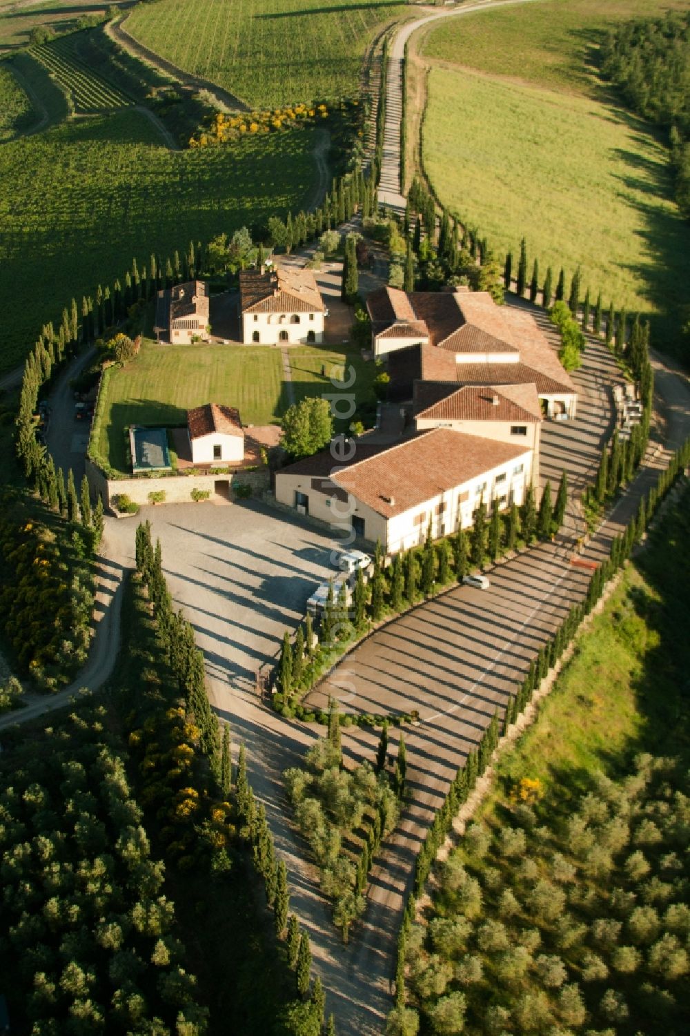 Caparzo aus der Vogelperspektive: Gehöft eines Bauernhofes mit Zypressenalleen in Caparzo in Toscana, Italien