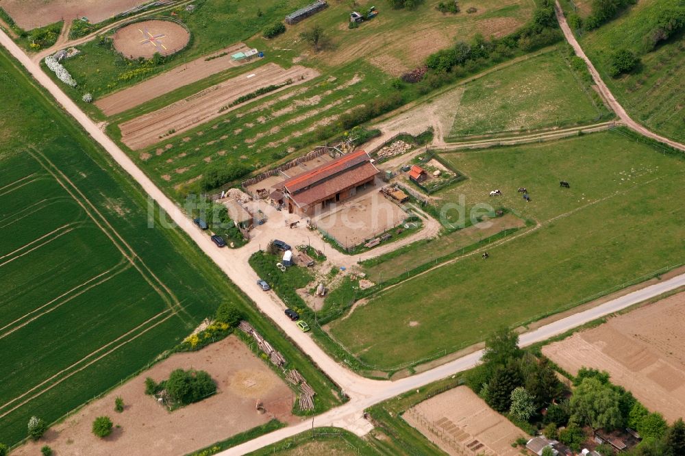 Luftaufnahme Schwabenheim an der Selz - Gehöft in der Nähe von Schwabenheim an der Selz im Bundesland Rheinland-Pfalz