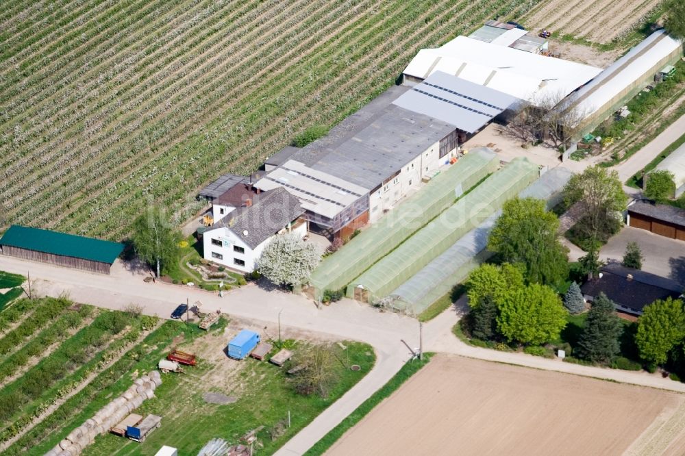 Luftaufnahme Kandel - Gehöft eines Obst- und Spargelhofes Zapf Hofmarkt in Kandel im Bundesland Rheinland-Pfalz