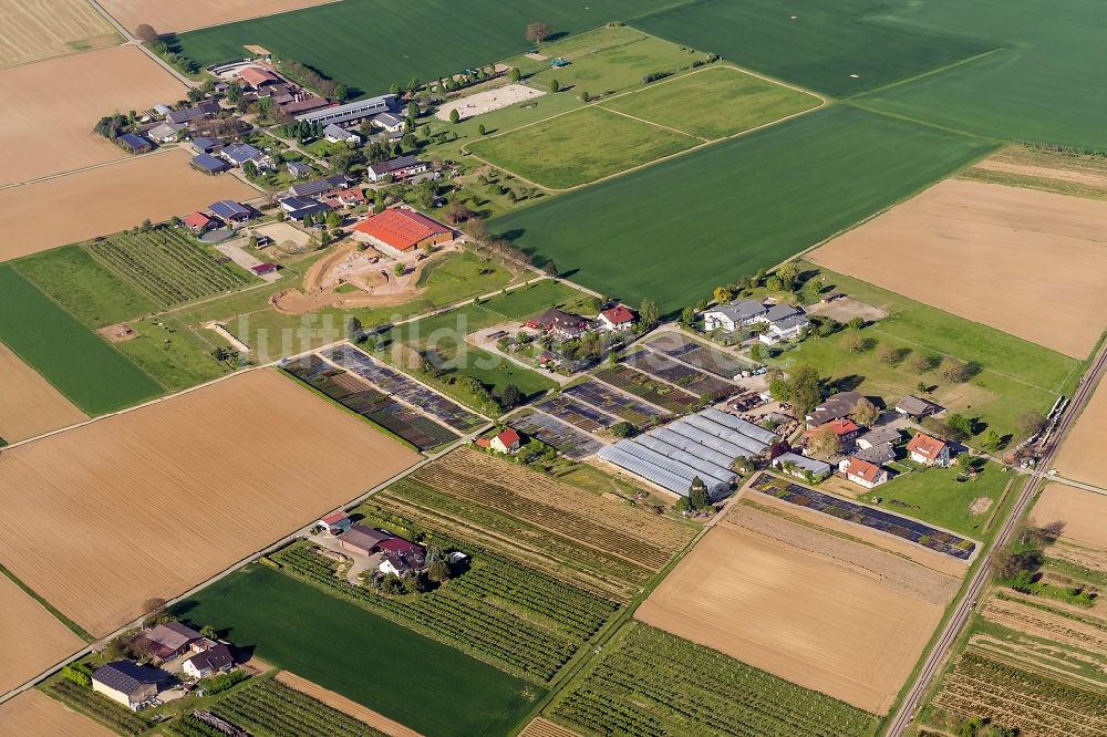 Luftaufnahme Endingen am Kaiserstuhl - Gehöfte, Bauernhöfe am Rand von bestellten Feldern in Endingen am Kaiserstuhl im Bundesland Baden-Württemberg