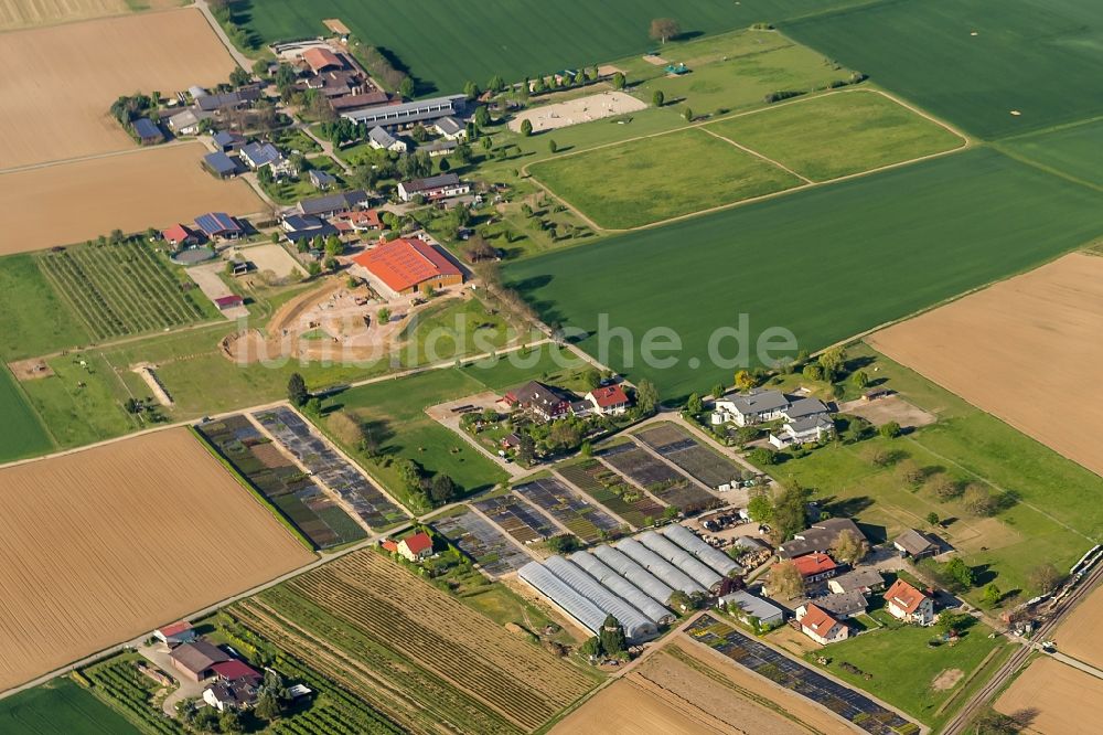 Endingen am Kaiserstuhl von oben - Gehöfte, Bauernhöfe am Rand von bestellten Feldern in Endingen am Kaiserstuhl im Bundesland Baden-Württemberg