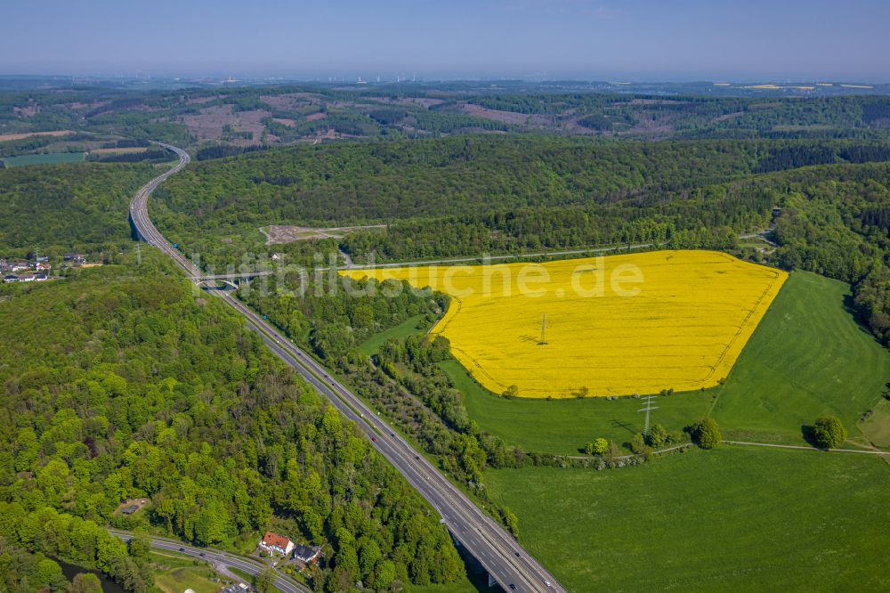 Luftaufnahme Arnsberg - Gelb blühende Raps- Blüten im Waldgebiet in Arnsberg im Bundesland Nordrhein-Westfalen, Deutschland