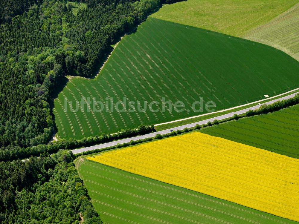 Luftaufnahme Attenweiler - Gelb - grün Kontrast blühender Raps- Blüten in Attenweiler im Bundesland Baden-Württemberg, Deutschland