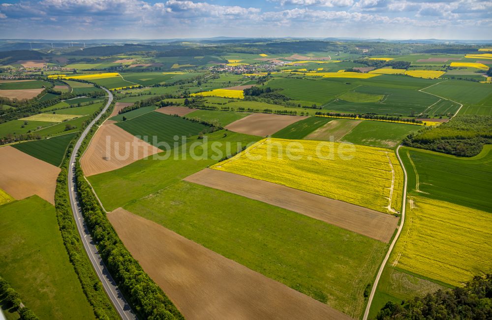 Brakel aus der Vogelperspektive: Gelb - grün Kontrast blühender Raps- Blüten in Brakel im Bundesland Nordrhein-Westfalen, Deutschland