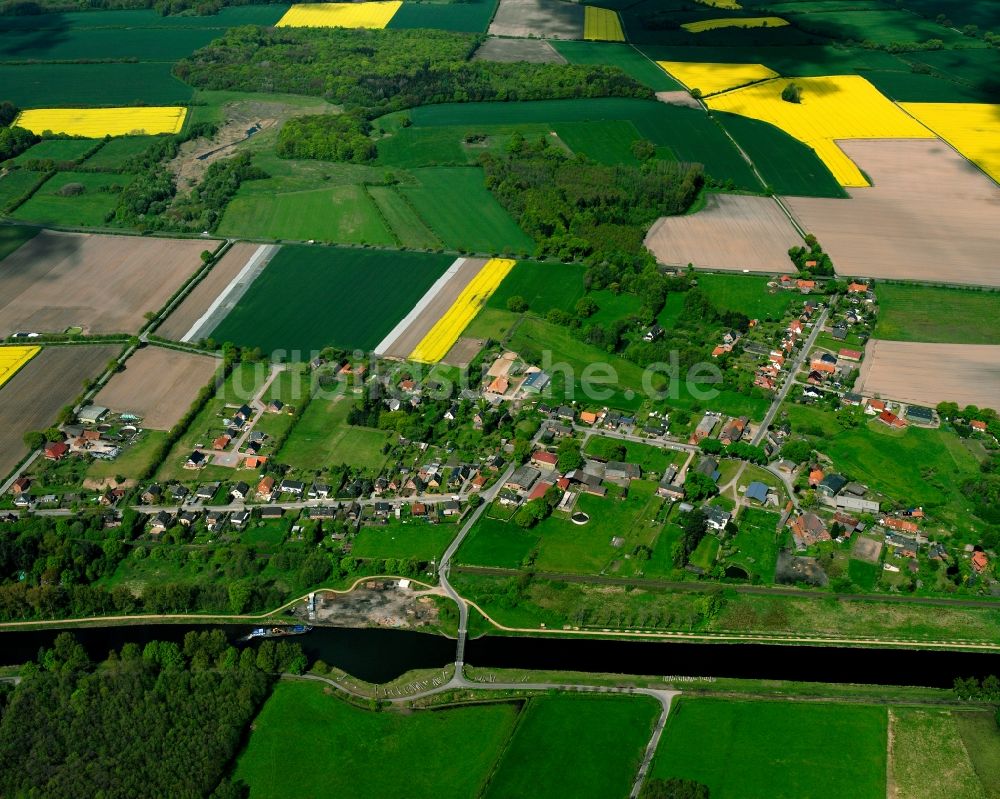 Dalldorf von oben - Gelb - grün Kontrast blühender Raps- Blüten in Dalldorf im Bundesland Schleswig-Holstein, Deutschland