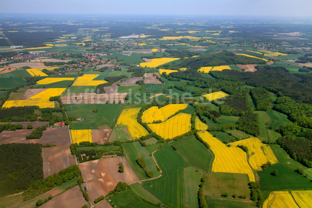 Luftaufnahme Erichshagen-Wölpe - Gelb - grün Kontrast blühender Raps- Blüten in Erichshagen-Wölpe im Bundesland Niedersachsen, Deutschland