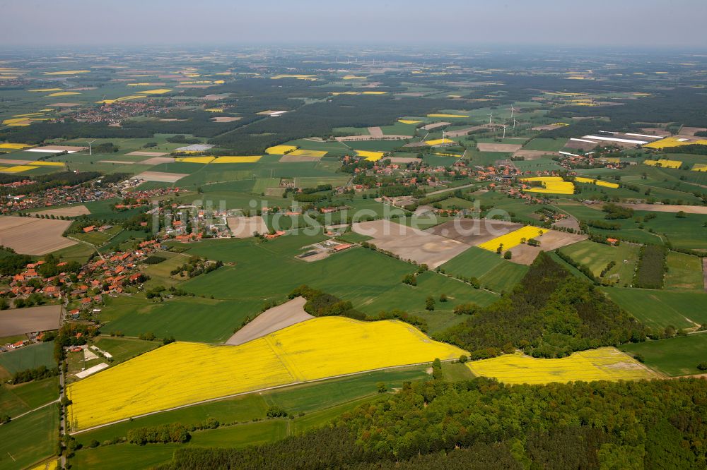 Erichshagen-Wölpe von oben - Gelb - grün Kontrast blühender Raps- Blüten in Erichshagen-Wölpe im Bundesland Niedersachsen, Deutschland