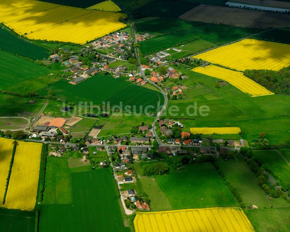 Franzhagen aus der Vogelperspektive: Gelb - grün Kontrast blühender Raps- Blüten in Franzhagen im Bundesland Schleswig-Holstein, Deutschland