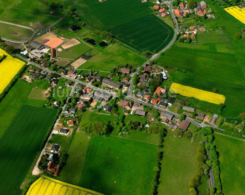 Luftaufnahme Franzhagen - Gelb - grün Kontrast blühender Raps- Blüten in Franzhagen im Bundesland Schleswig-Holstein, Deutschland