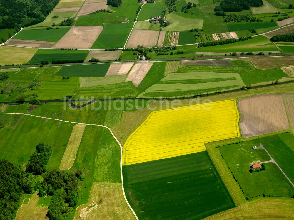 Luftaufnahme Hochdorf - Gelb - grün Kontrast blühender Raps- Blüten in Hochdorf im Bundesland Baden-Württemberg, Deutschland