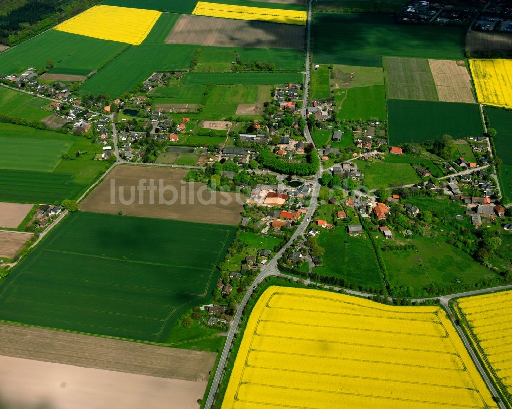 Hohenhorn von oben - Gelb - grün Kontrast blühender Raps- Blüten in Hohenhorn im Bundesland Schleswig-Holstein, Deutschland