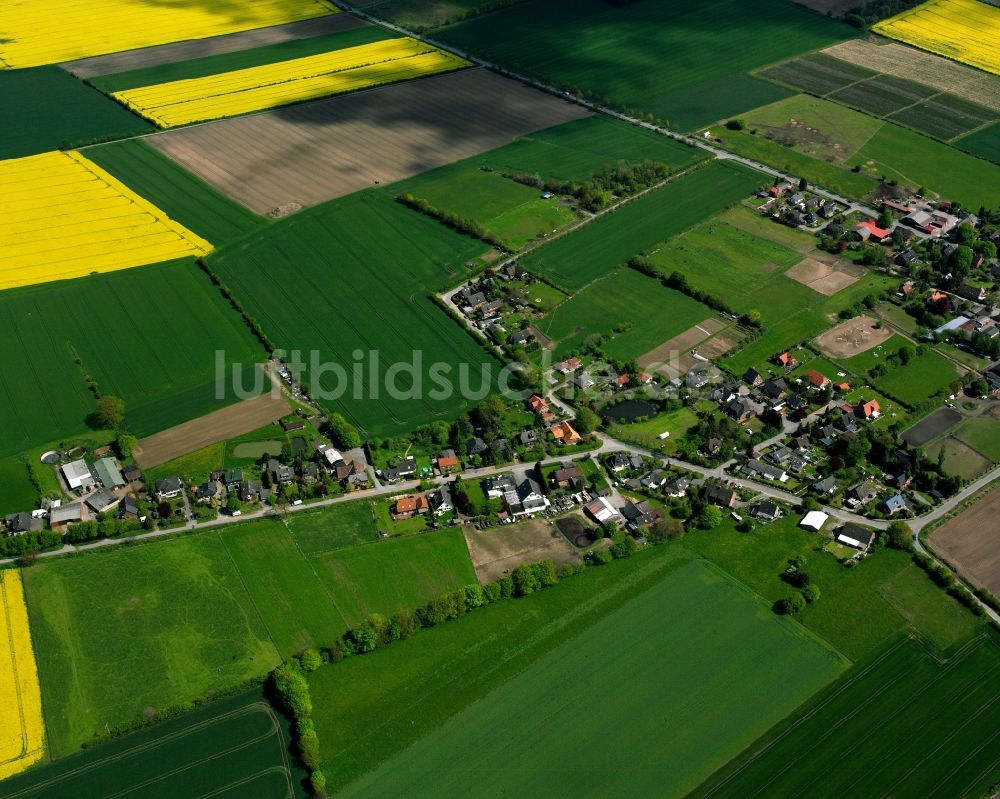 Hohenhorn aus der Vogelperspektive: Gelb - grün Kontrast blühender Raps- Blüten in Hohenhorn im Bundesland Schleswig-Holstein, Deutschland