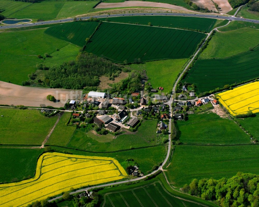 Hornstorf von oben - Gelb - grün Kontrast blühender Raps- Blüten in Hornstorf im Bundesland Schleswig-Holstein, Deutschland