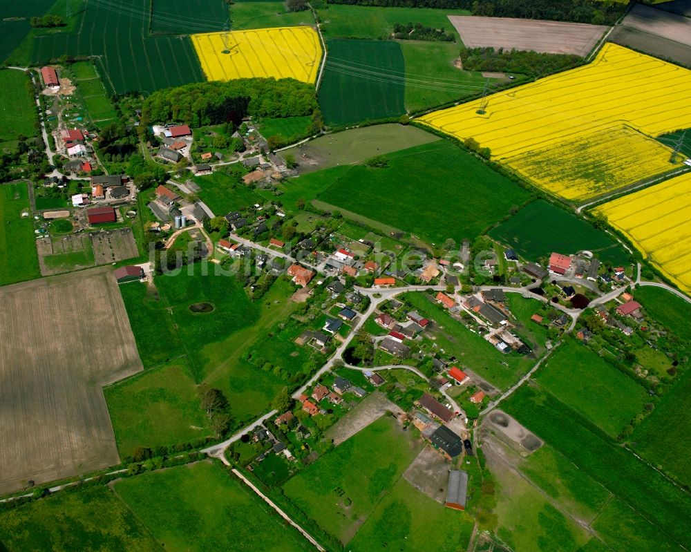 Luftaufnahme Krukow - Gelb - grün Kontrast blühender Raps- Blüten in Krukow im Bundesland Schleswig-Holstein, Deutschland