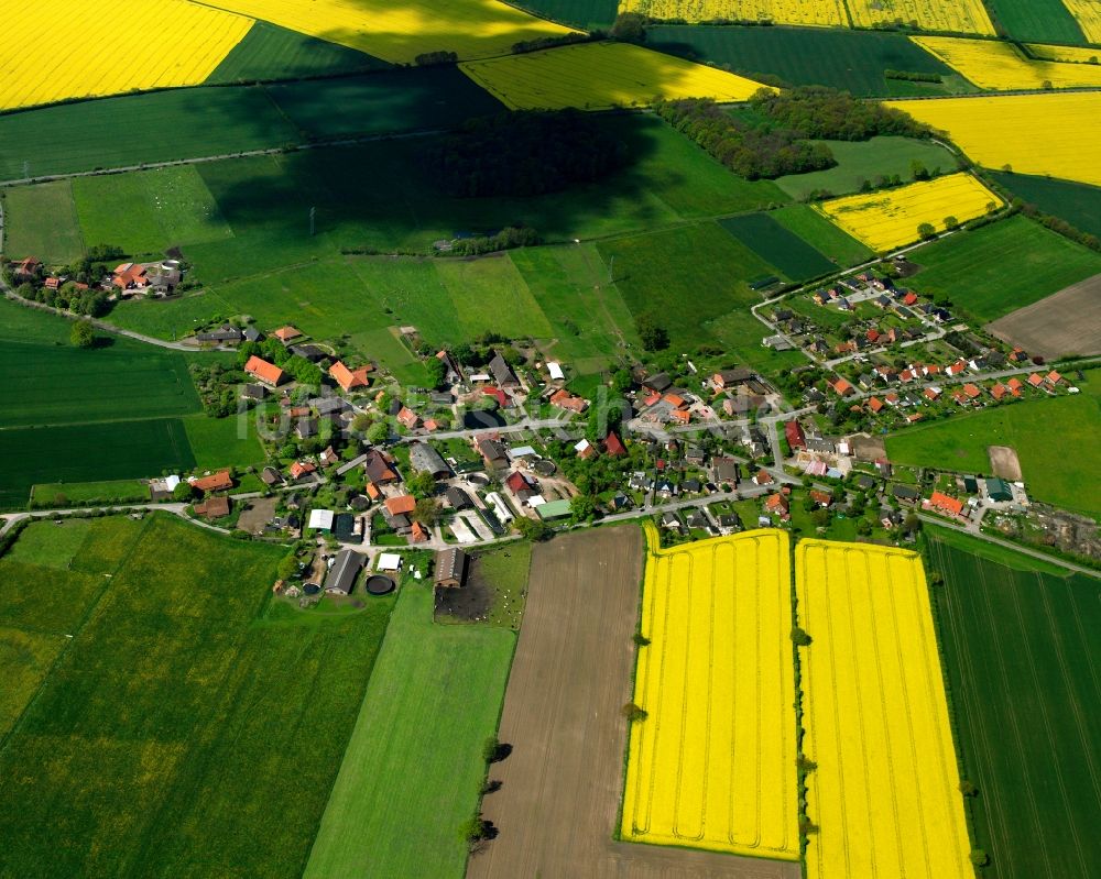 Luftaufnahme Krüzen - Gelb - grün Kontrast blühender Raps- Blüten in Krüzen im Bundesland Schleswig-Holstein, Deutschland