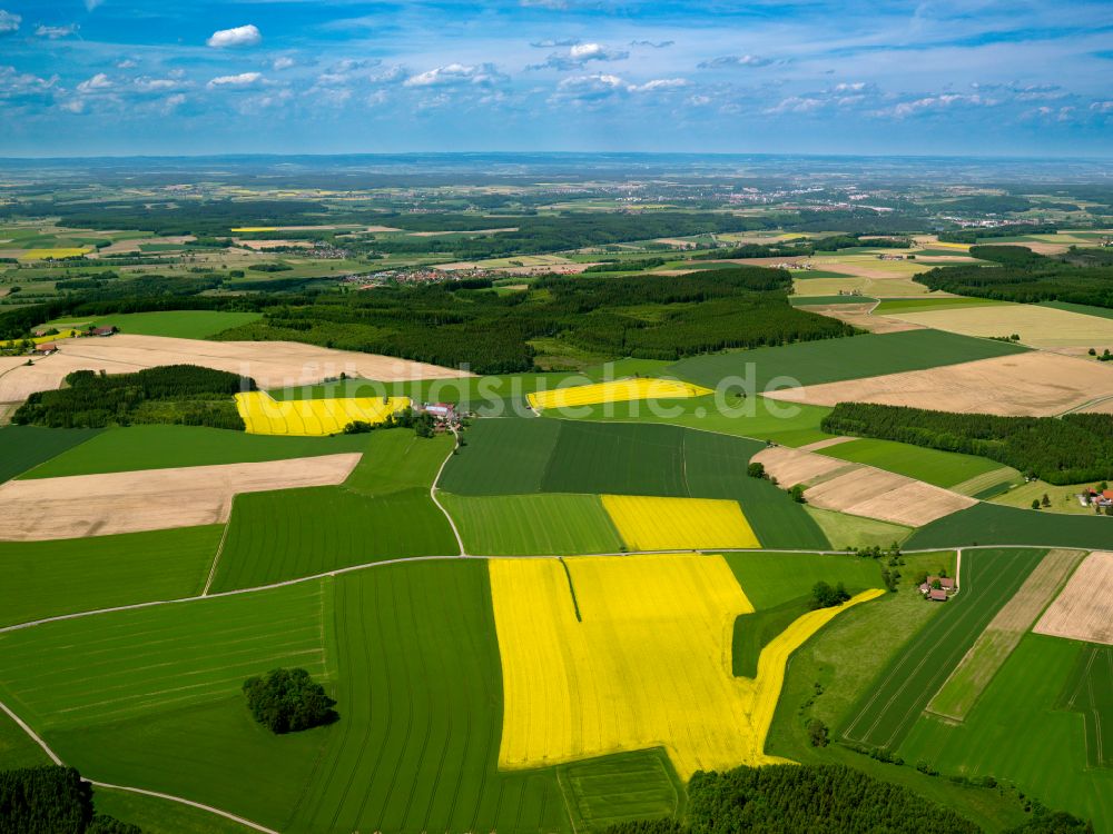 Märbottenweiler aus der Vogelperspektive: Gelb - grün Kontrast blühender Raps- Blüten in Märbottenweiler im Bundesland Baden-Württemberg, Deutschland