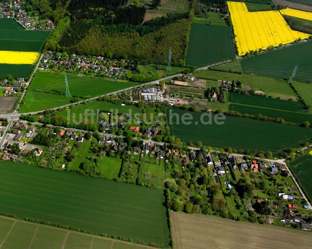 Luftaufnahme Neu-Börnsen - Gelb - grün Kontrast blühender Raps- Blüten in Neu-Börnsen im Bundesland Schleswig-Holstein, Deutschland