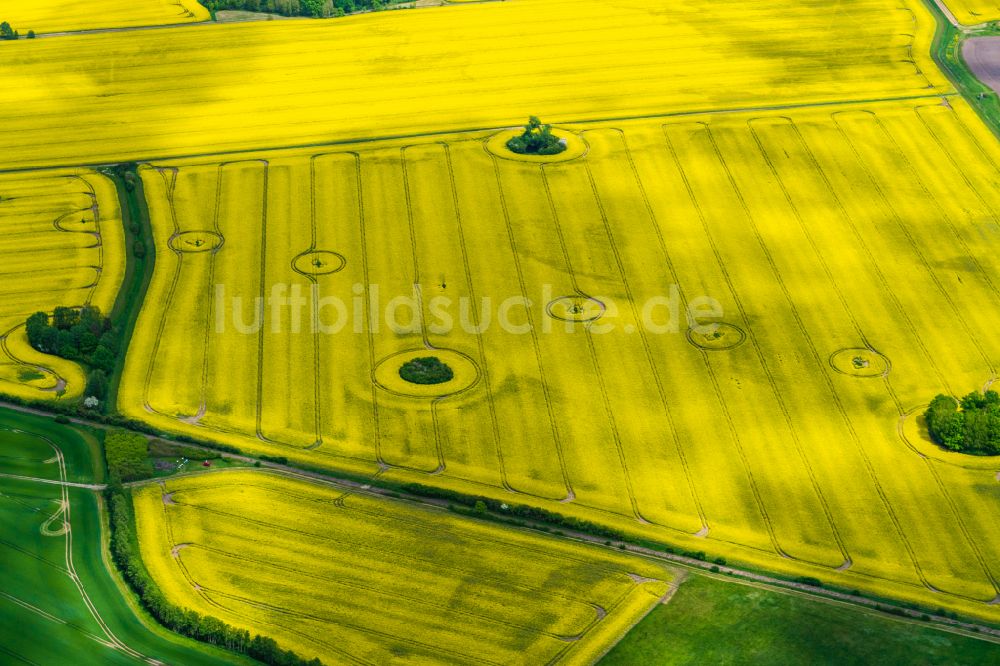 Putlitz von oben - Gelb - grün Kontrast blühender Raps- Blüten in Putlitz im Bundesland Brandenburg, Deutschland