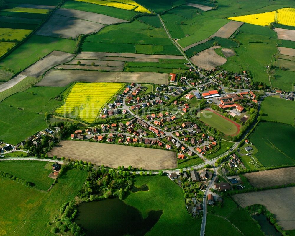 Sandesneben aus der Vogelperspektive: Gelb - grün Kontrast blühender Raps- Blüten in Sandesneben im Bundesland Schleswig-Holstein, Deutschland