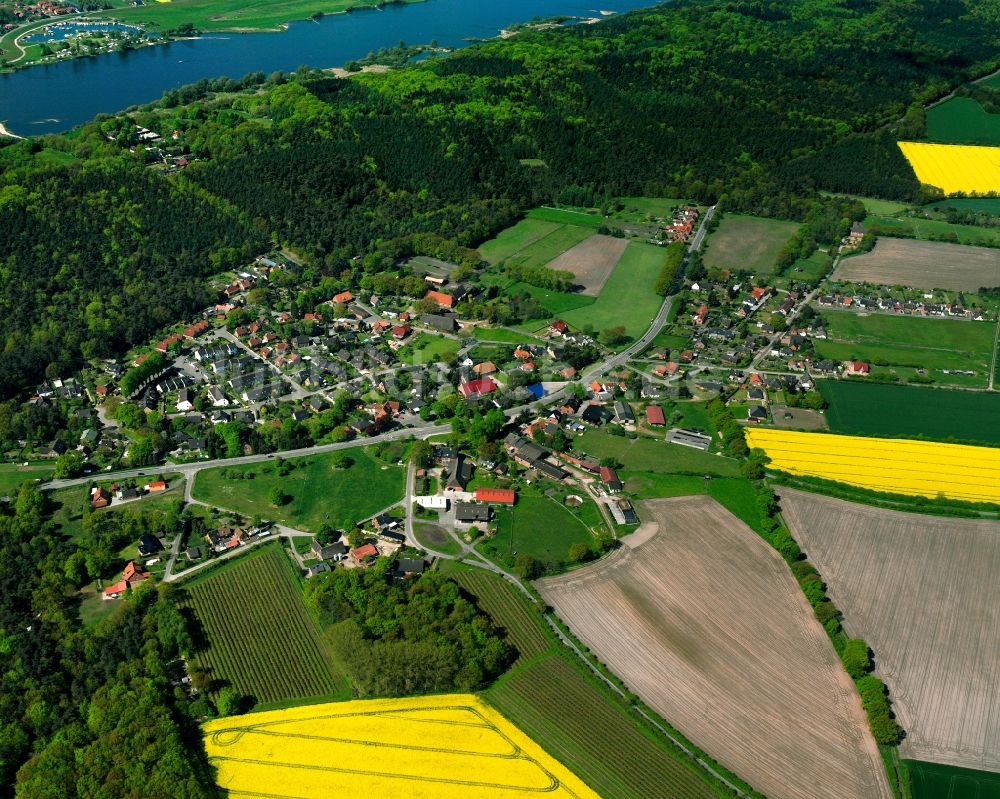 Schnakenbek von oben - Gelb - grün Kontrast blühender Raps- Blüten in Schnakenbek im Bundesland Schleswig-Holstein, Deutschland