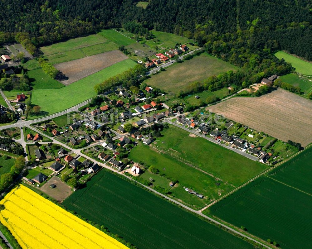 Luftbild Schnakenbek - Gelb - grün Kontrast blühender Raps- Blüten in Schnakenbek im Bundesland Schleswig-Holstein, Deutschland