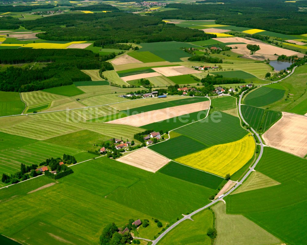 Stafflangen von oben - Gelb - grün Kontrast blühender Raps- Blüten in Stafflangen im Bundesland Baden-Württemberg, Deutschland