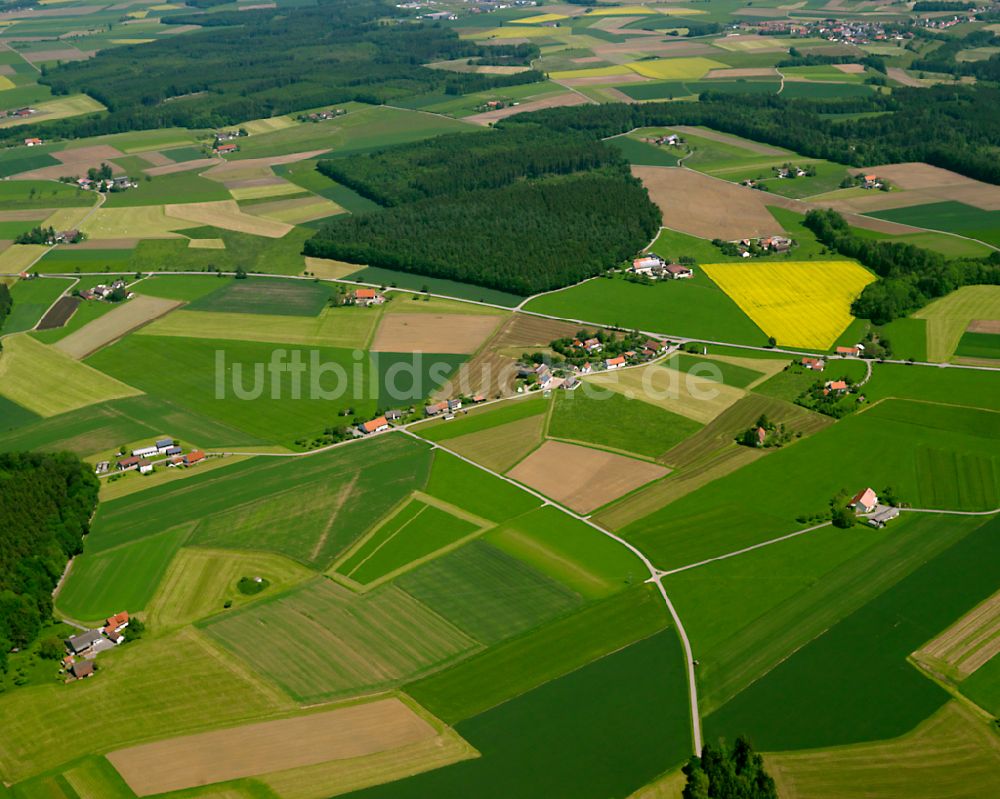 Luftbild Steinhausen an der Rottum - Gelb - grün Kontrast blühender Raps- Blüten in Steinhausen an der Rottum im Bundesland Baden-Württemberg, Deutschland