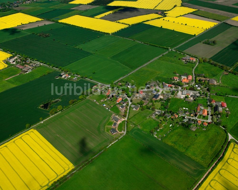 Luftaufnahme Wiershop - Gelb - grün Kontrast blühender Raps- Blüten in Wiershop im Bundesland Schleswig-Holstein, Deutschland