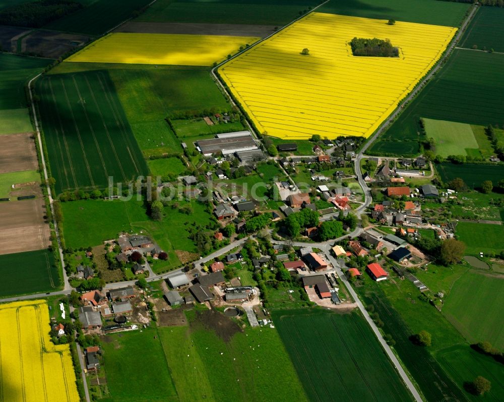 Luftbild Worth - Gelb - grün Kontrast blühender Raps- Blüten in Worth im Bundesland Schleswig-Holstein, Deutschland