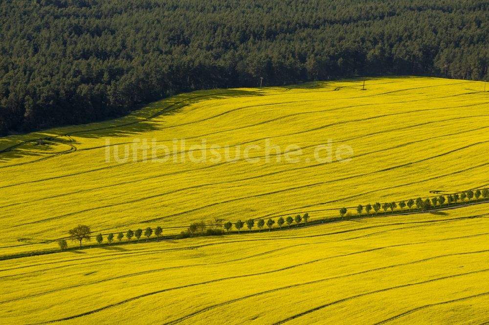 Luftaufnahme Wesenberg - Gelb strahlendes Rapsfeld- Landschaft bei Wesenberg im Bundesland Mecklenburg-Vorpommern