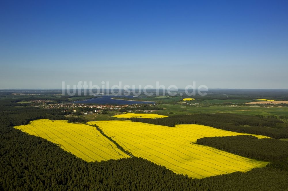 Wesenberg von oben - Gelb strahlendes Rapsfeld- Landschaft bei Wesenberg im Bundesland Mecklenburg-Vorpommern