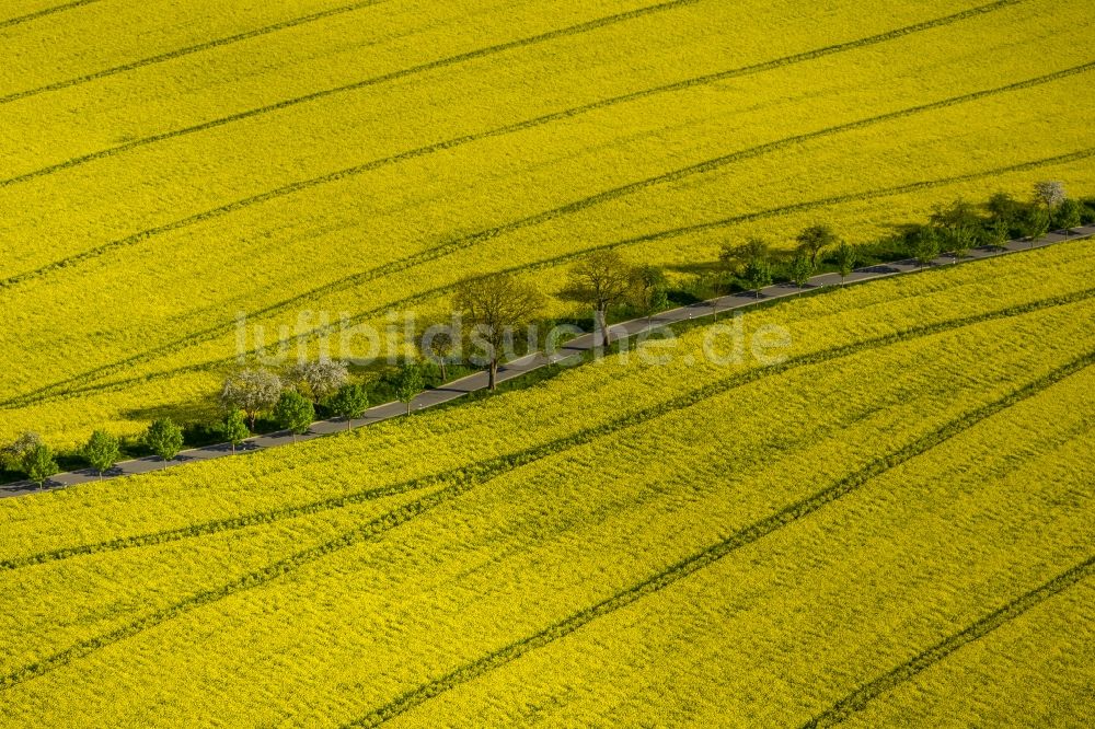 Wesenberg von oben - Gelb strahlendes Rapsfeld- Landschaft bei Wesenberg im Bundesland Mecklenburg-Vorpommern