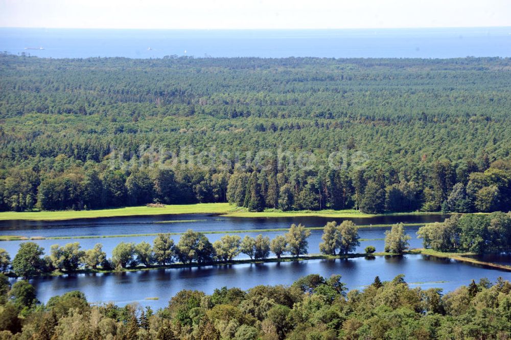 Gelbensande von oben - Gelbensander Forst in Mecklenburg-Vorpommern