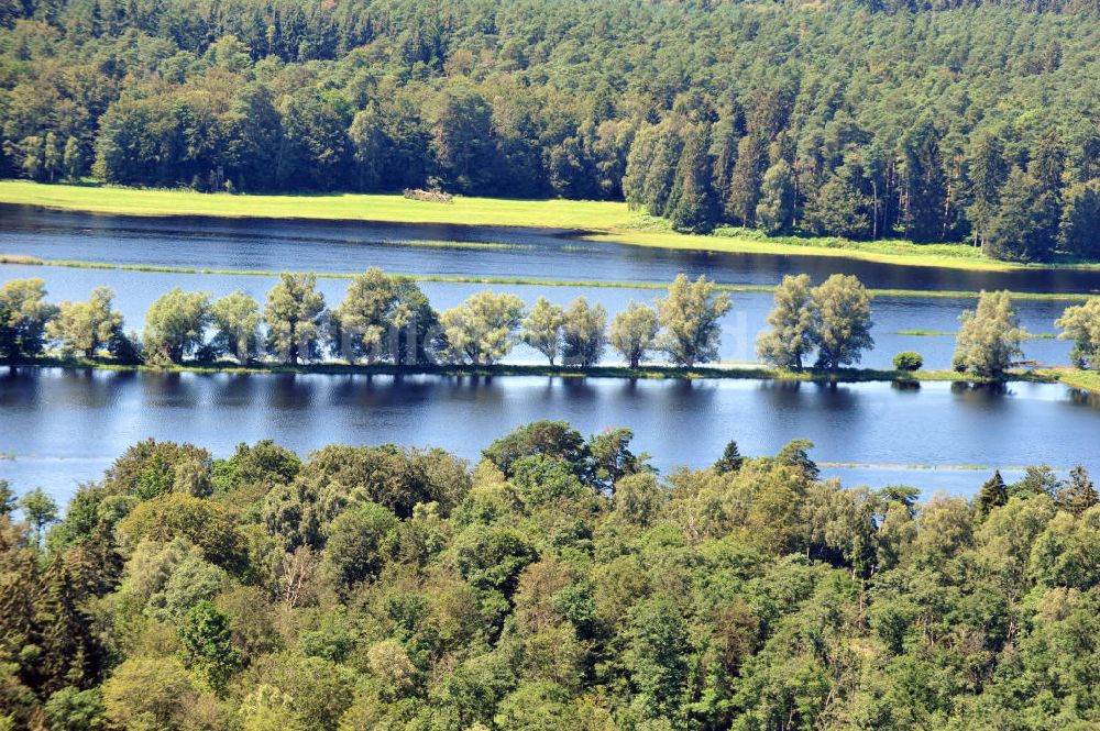 Gelbensande aus der Vogelperspektive: Gelbensander Forst in Mecklenburg-Vorpommern