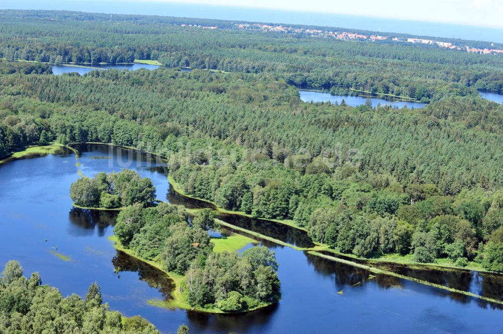 Luftbild Gelbensande - Gelbensander Forst in Mecklenburg-Vorpommern