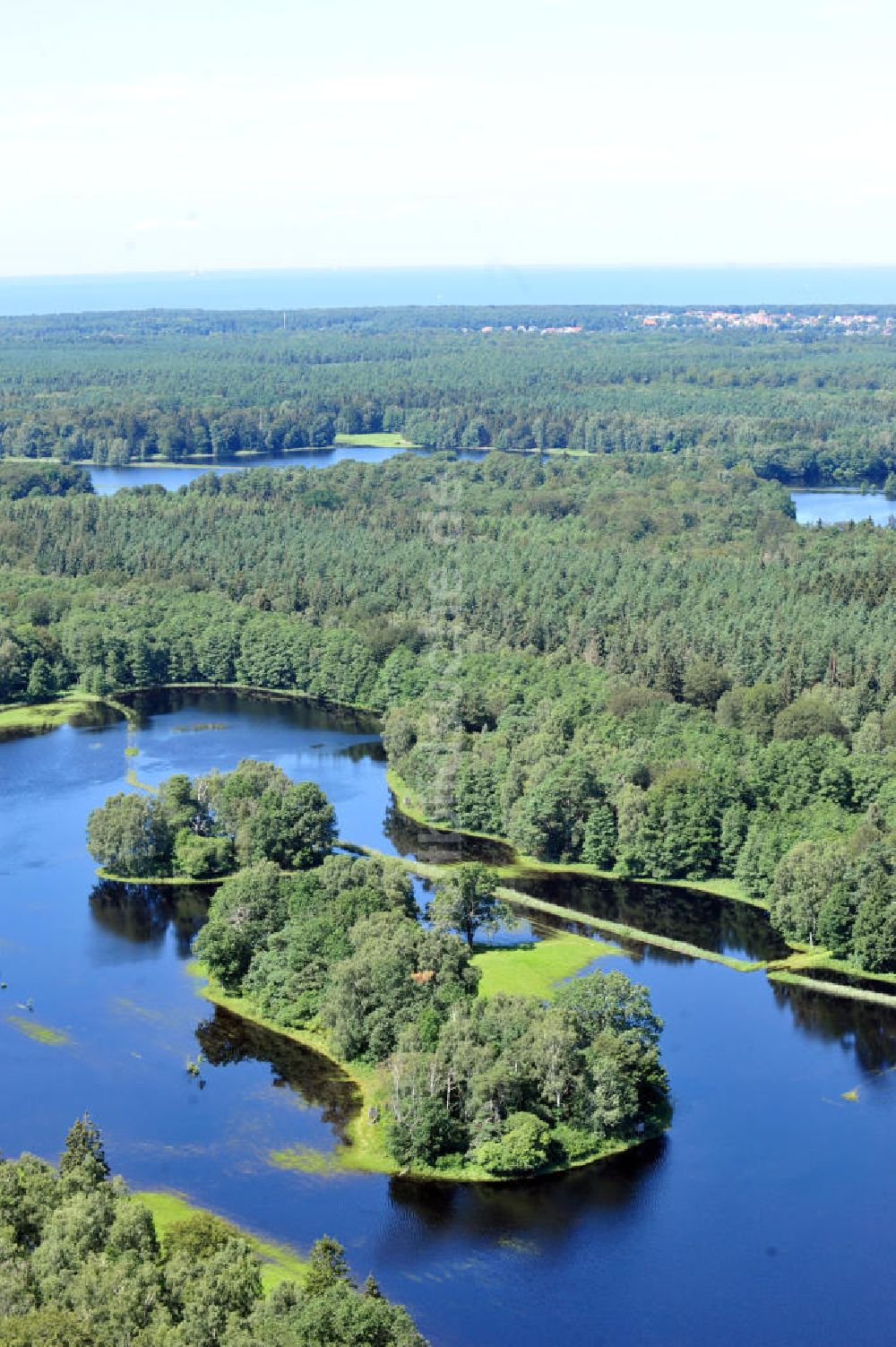 Luftaufnahme Gelbensande - Gelbensander Forst in Mecklenburg-Vorpommern