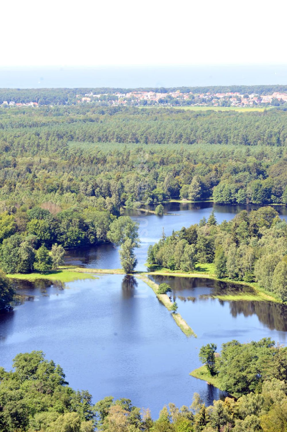 Luftaufnahme Gelbensande - Gelbensander Forst in Mecklenburg-Vorpommern