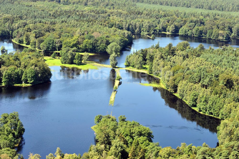 Gelbensande aus der Vogelperspektive: Gelbensander Forst in Mecklenburg-Vorpommern