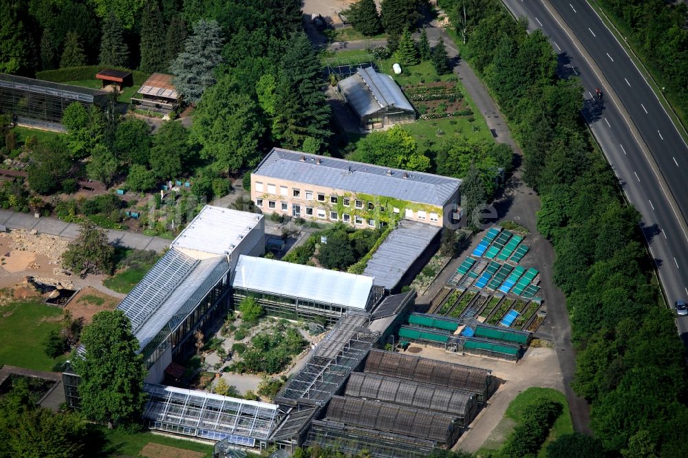 Luftbild Würzburg - Gelände des Botanischen Garten in Würzburg im Bundesland Bayern