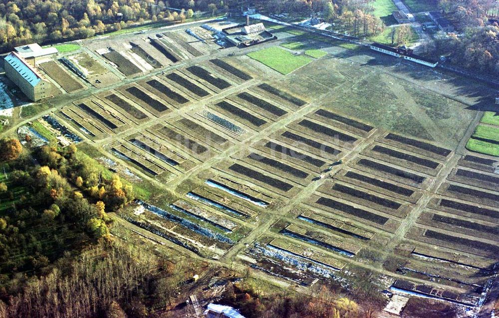 Weimar / Thür. aus der Vogelperspektive: Gelände des ehem KZ Buchenwald auf dem Ettersberg bei Weimar.