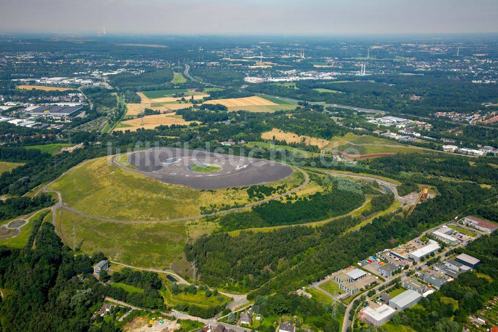 Luftbild Gladbeck - Gelände der ehemaligen Bergbau- Halde Mottbruchhalde im Naturschutzgebiet Natroper Feld in Gladbeck im Bundesland Nordrhein-Westfalen