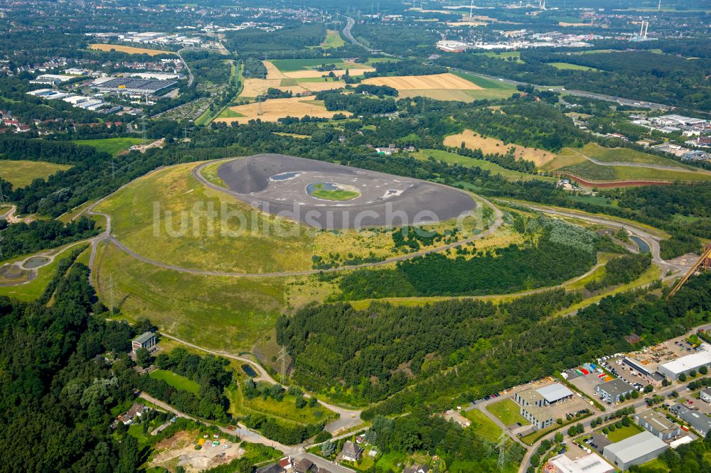 Luftaufnahme Gladbeck - Gelände der ehemaligen Bergbau- Halde Mottbruchhalde im Naturschutzgebiet Natroper Feld in Gladbeck im Bundesland Nordrhein-Westfalen