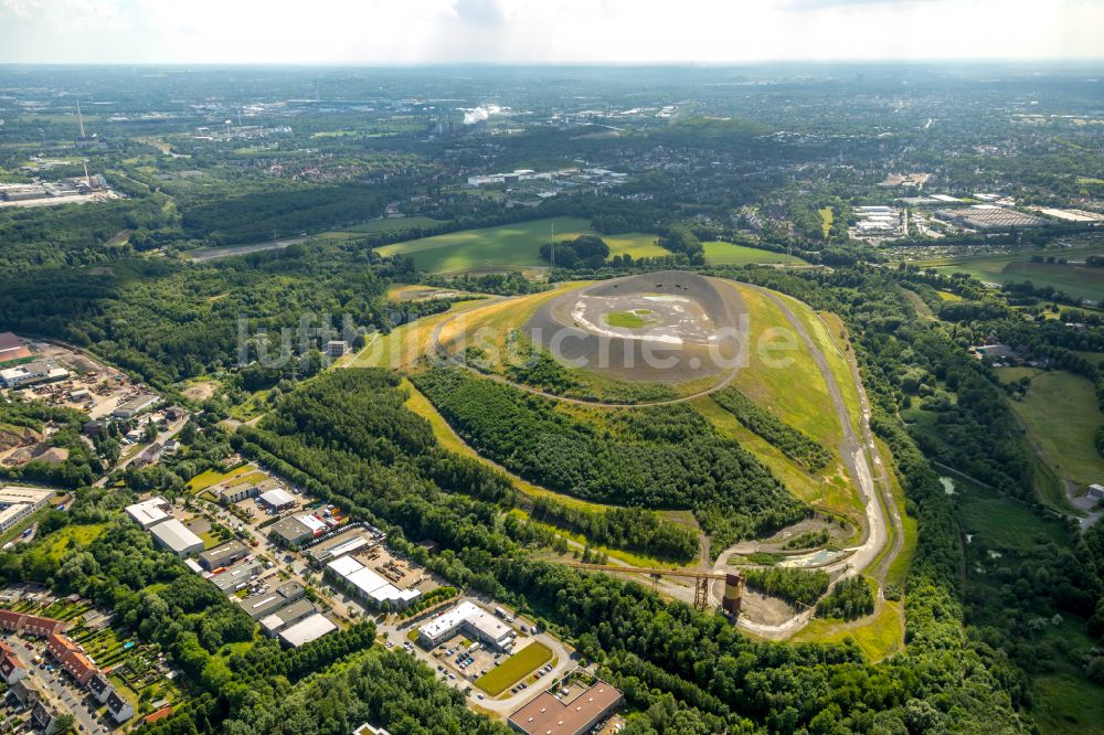 Luftaufnahme Gladbeck - Gelände der ehemaligen Bergbau- Halde Mottbruchhalde im Naturschutzgebiet Natroper Feld in Gladbeck im Bundesland Nordrhein-Westfalen