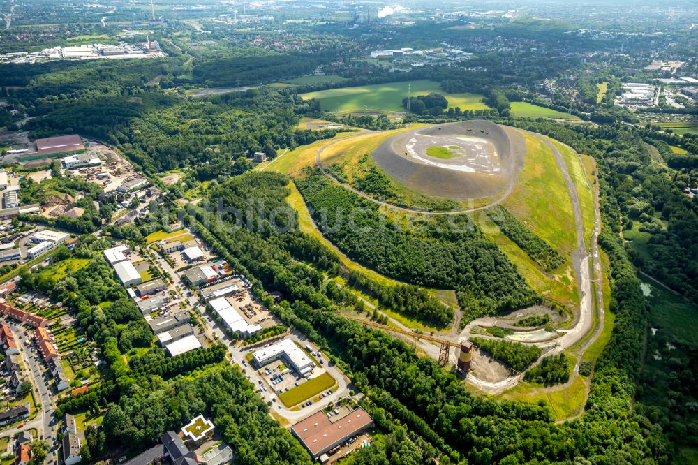 Gladbeck von oben - Gelände der ehemaligen Bergbau- Halde Mottbruchhalde im Naturschutzgebiet Natroper Feld in Gladbeck im Bundesland Nordrhein-Westfalen