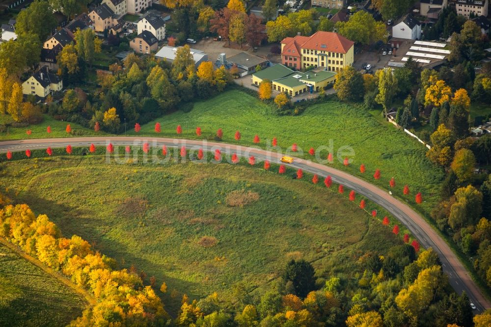 Luftaufnahme Herne - Gelände der ehemaligen Bergbau- Halde Naturschutzgebiet Günnigfeld an Blücherstraße als Allee mit Laubbäumen mit rotem Herbstlaub an der Erzbahntrasse in Herne im Bundesland Nordrhein-Westfalen