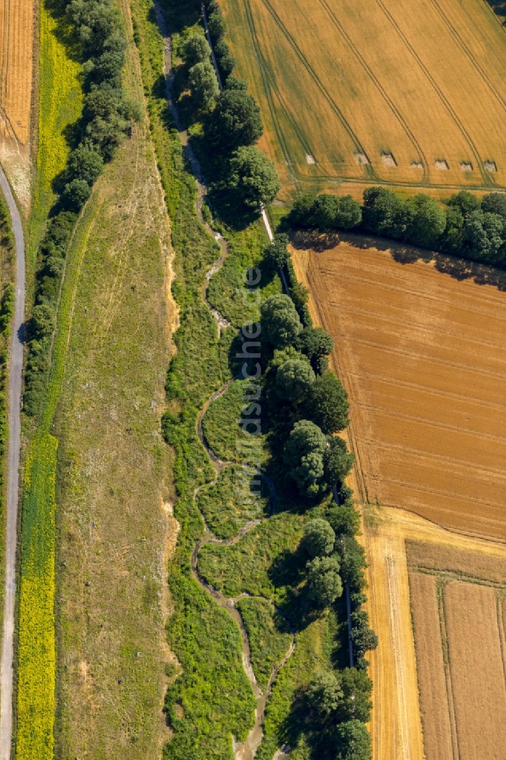 Luftaufnahme Ahlen - Gelände der ehemaligen Bergbau- Halde Zeche Wesfalen in Ahlen im Bundesland Nordrhein-Westfalen, Deutschland