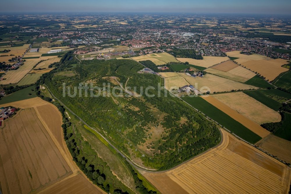 Luftaufnahme Ahlen - Gelände der ehemaligen Bergbau- Halde Zeche Westfalen in Ahlen im Bundesland Nordrhein-Westfalen, Deutschland